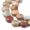 Natural Aqua Terra Jasper Beads Strands G-E572-02-3