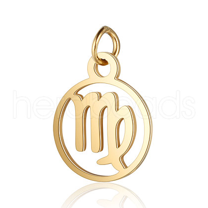 201 Stainless Steel Charms STAS-T036-T513-6-1