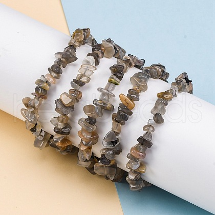 Natural Moonstone Chip Beaded Stretch Bracelets for Women Men BJEW-L038-01D-1