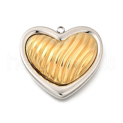 304 Stainless Steel Pendants STAS-M123-03I-PG01-1
