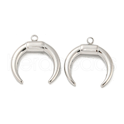 Non-Tarnish 304 Stainless Steel Pendants STAS-L022-224P-1