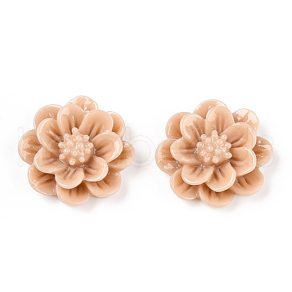 Resin Cabochon CRES-B3259-A80-1