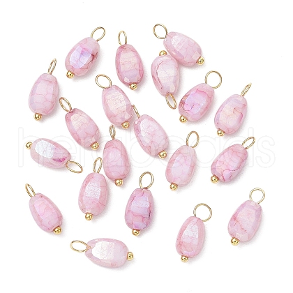 20Pcs Opaque Baking Painted Crackle Glass Charms PALLOY-JF03952-07-1