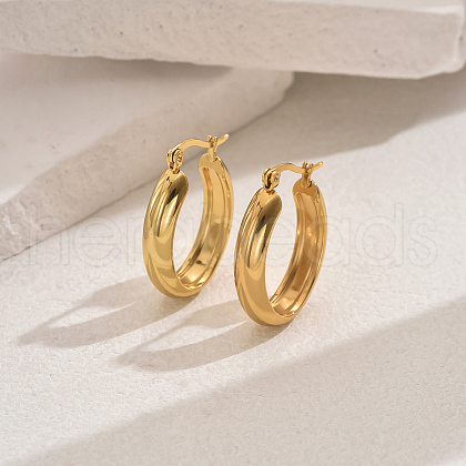 Elegant Stainless Steel Hoop Earrings TG2342-2-1
