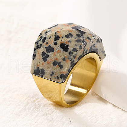 Fashionable 304 Stainless Steel & Natural Dalmatian Jasper Finger Rings FS-WG90577-35-1