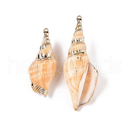 Natural Conch Shell Big Pendants SSHEL-N038-25-1