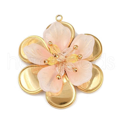 304 Stainless Steel and Acrylic and Plastic Pendants STAS-R170-04G-06-1