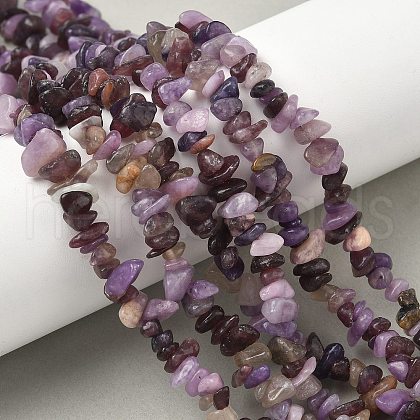 Natural Lepidolite/Purple Mica Stone Beads Strands G-Z081-A01-1