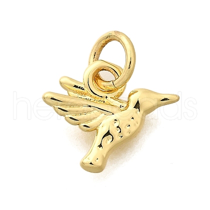 Brass Charms KK-B136-18G-1