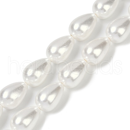 Electroplate Shell Pearl Beads Strands BSHE-O019-05-1