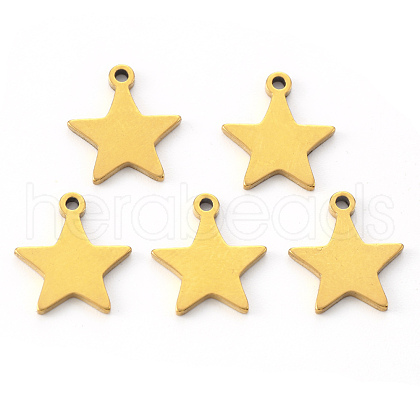 PVD Vacuum Plating 304 Stainless Steel Charms STAS-N092-50G-1