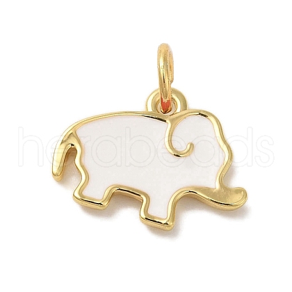 Rack Plating Brass Enamel Charms KK-L220-024G-01-1
