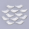 Natural Trochid Shell/Trochus Shell Beads SSHEL-T014-05-1