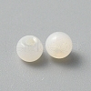 Handmade Lampwork Beads LAMP-TAC0001-05K-2
