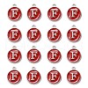 Platinum Plated Alloy Enamel Charms X-ENAM-S118-03F-P-2