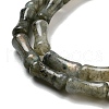 Natural Labradorite Beads Strands G-Q178-A09-01-4