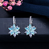 Brass Cubic Zirconia Hoop Earrings WGBE890-06-1