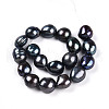 Natural Cultured Freshwater Pearl Beads Strands PEAR-N014-09A-05-2