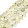 Natural New Jade Beads Strands G-H005-B07-01-2