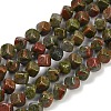 Natural Unakite Beads Strands G-A257-A16-01-1
