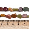Natural Alashan Agate Beads Strands G-Q060-E19-02-5