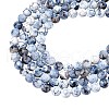 ARRICRAFT Natural Agate Bead Strands G-AR0001-42-1