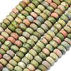Natural Unakite Beads Strands G-P575-A12-8x5mm-01-2