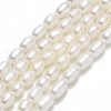 Natural Cultured Freshwater Pearl Beads Strands PEAR-J006-09B-1