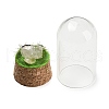 Natural Rose Quartz Nuggets Display Decoration with Glass Dome Cloche Cover DJEW-B009-03C-2