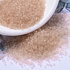 MIYUKI Delica Beads SEED-X0054-DB1410-1