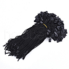 Polyester Cord with Seal Tag CDIS-T001-12A-1