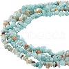 ARRICRAFT 2 Strands 2 Colors Natural Flower Amazonite Chip Beads Strands G-AR0005-98-1