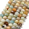 Natural Flower Amazonite Beads Strands G-P573-A66-10x6mm-2