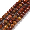 Natural Carnelian Beads Strands G-E571-10B-1