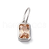 925 Sterling Silver Cubic Zirconia Charms STER-NH0014-01P-11-1