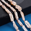 Natural Keshi Pearl Beads Strands PEAR-S020-H02-5