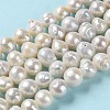 Natural Keshi Pearl Beads Strands PEAR-E018-17-2