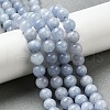 Dyed Natural Malaysia Jade Beads Strands G-G021-02B-22-4