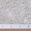 MIYUKI Delica Beads SEED-JP0008-DB0551-4
