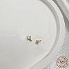 925 Sterling Silver Micro Pave Clear Cubic Zirconia Charms STER-P054-11A-G-1