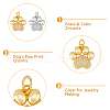 DICOSMETIC 12Pcs 2 Colors Rack Plating Brass Micro Pave Cubic Zirconia Charms KK-DC0003-18-5