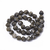 Natural Golden Sheen Obsidian Beads Strands G-T064-45A-2