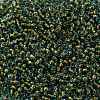 TOHO Round Seed Beads SEED-JPTR08-1014-2