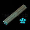 Luminous Handmade Polymer Clay Nail Art Decoration CLAY-T016-85G-3