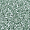 MIYUKI Delica Beads X-SEED-J020-DB0829-3