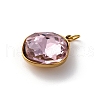 316 Stainless Steel Faceted Glass Pendants STAS-K258-47G-05-2