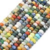 Natural Blue Spot Jasper & Dalmatian Jasper & White Jade Beads Strands G-P575-A30-8x5mm-01-2