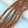 Natural Miriam Stone Beads Strands G-G0003-C05-A-2