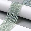 Electroplate Transparent Glass Beads Strands X-GLAA-H021-01A-FR07-3