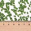Glass Seed Beads SEED-L011-02B-02-4